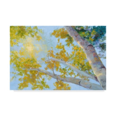 Nanette Oleson 'Aspen Canopy' Canvas Art,30x47